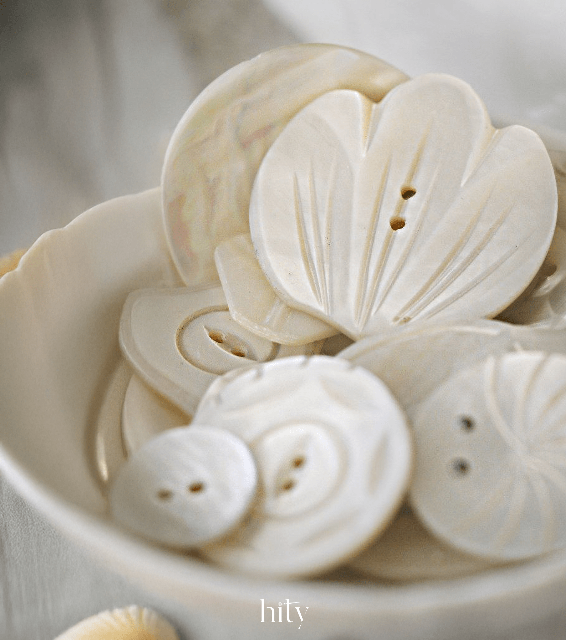 Upcycle: Nút áo vỏ sò - Hity