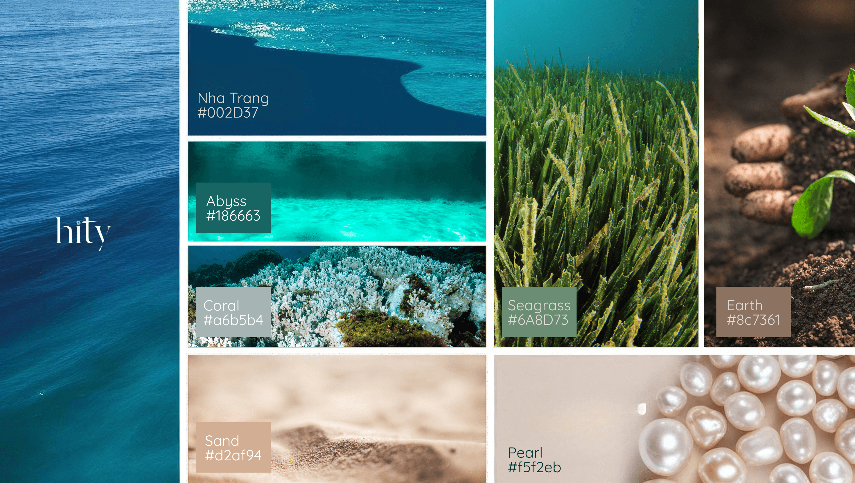 Sắc màu đại dương trong thời trang bền vững Hity - Hity