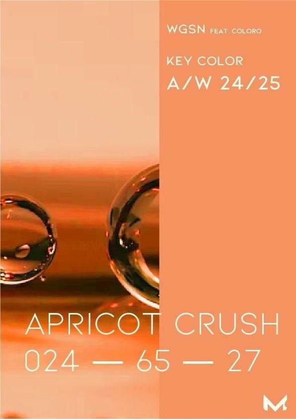 Apricot Crush - Mơ Nghiền - Hity