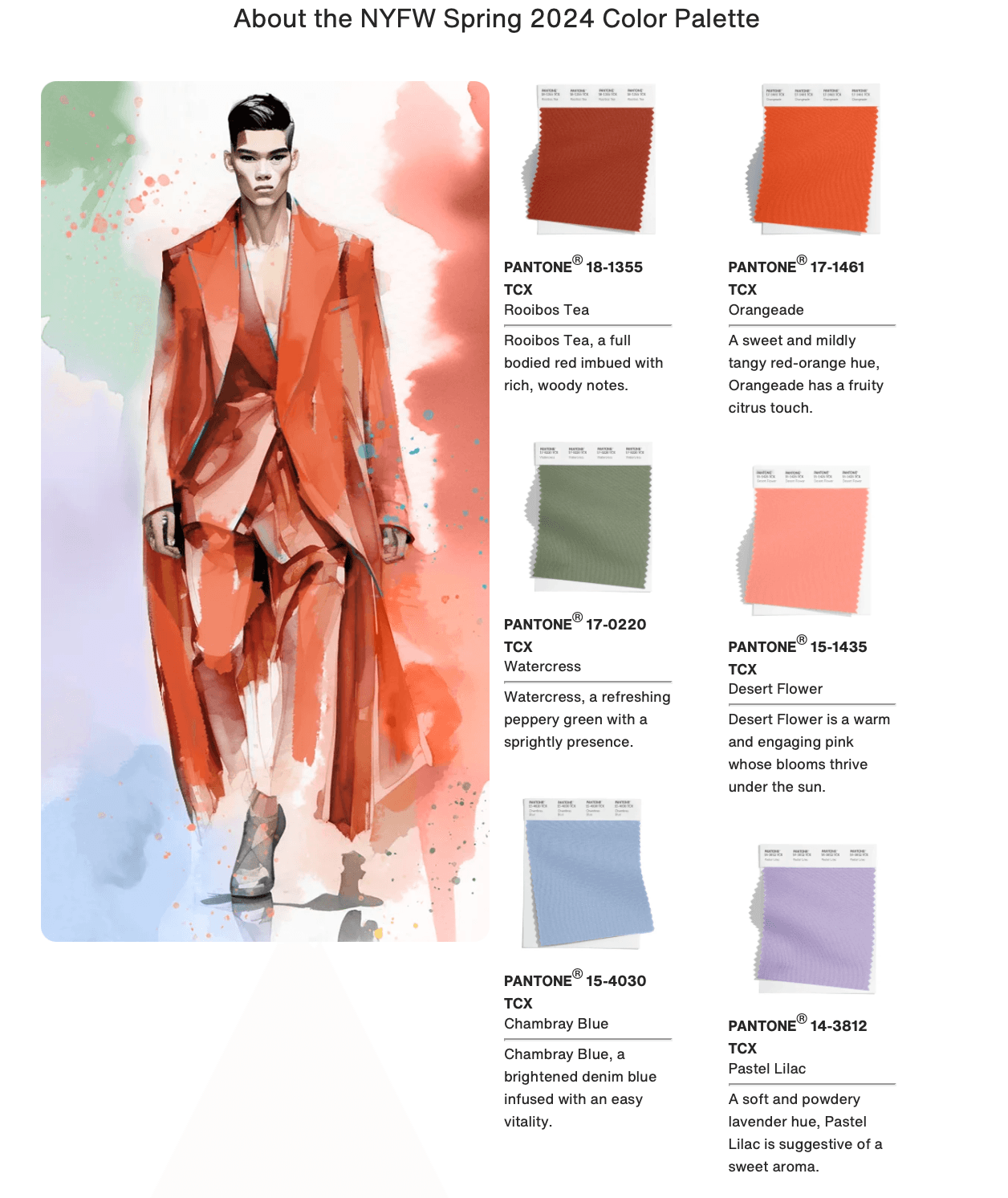 Màu sắc NYFW Xuân Hè 2024 - Hity