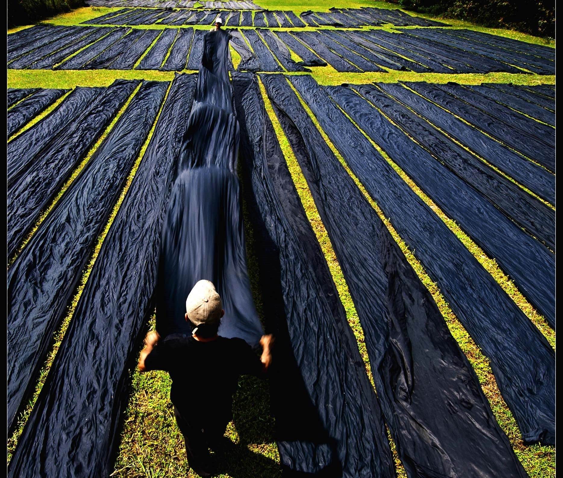 Mặc nưa - thời xa vắng - Hity