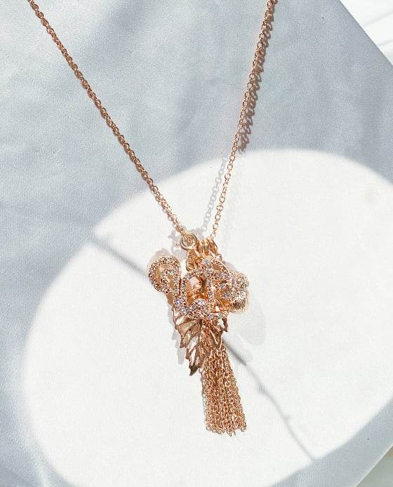 Vòng Cổ Chipmunk ACC094 - Hity